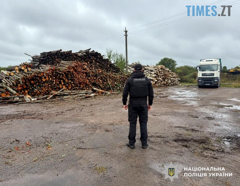 правоохоронець біля колод лісу