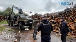 правоохоронці біля колод лісу та лісовоза