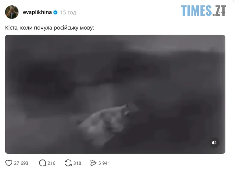 Меми про Настю Каменських