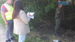екологи обстежують зелені насадження уздовж автомобільних доріг