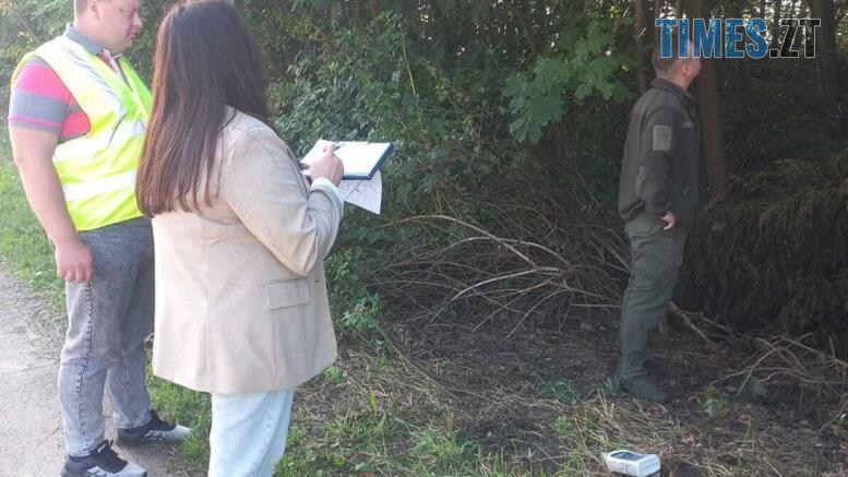екологи обстежують зелені насадження уздовж автомобільних доріг