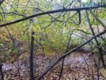 забруднені землі у селі Довжик під Житомиром