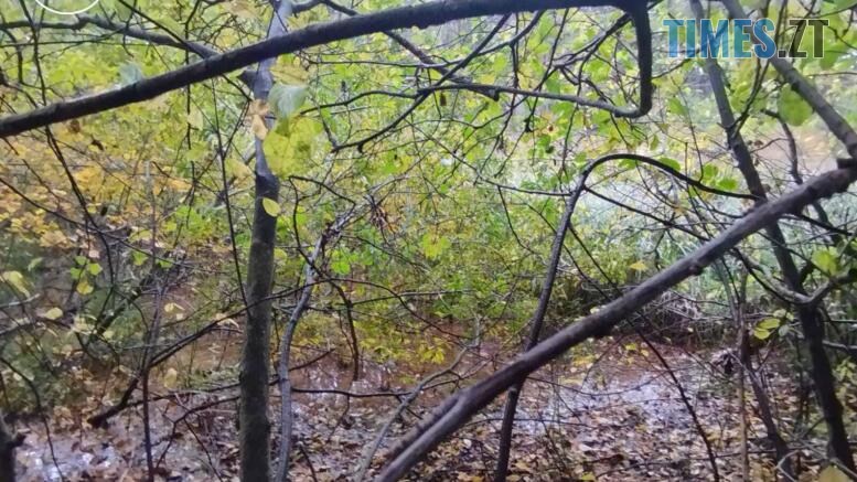 забруднені землі у селі Довжик під Житомиром